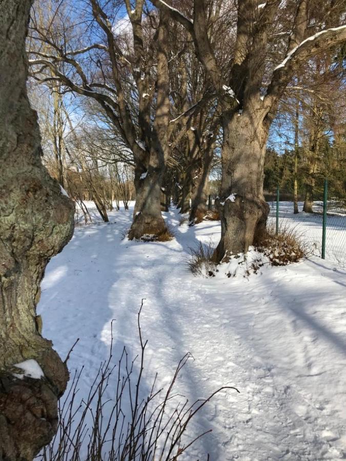 Seeblick Warin Екстериор снимка